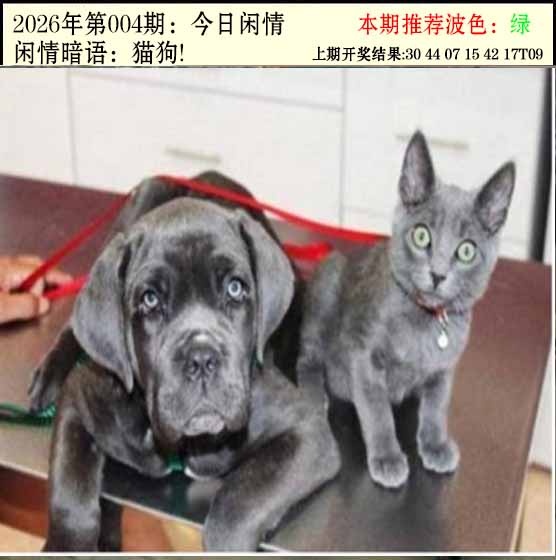 004期今日闲情2[图]