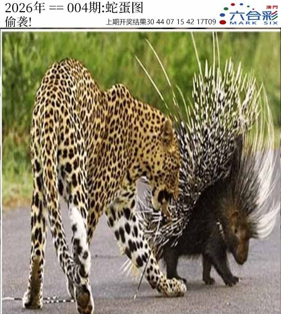 004期正版蛇蛋图[图]