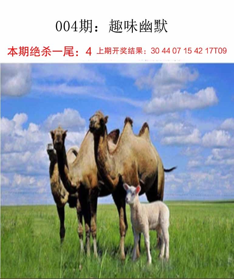 004期趣味幽默[图]