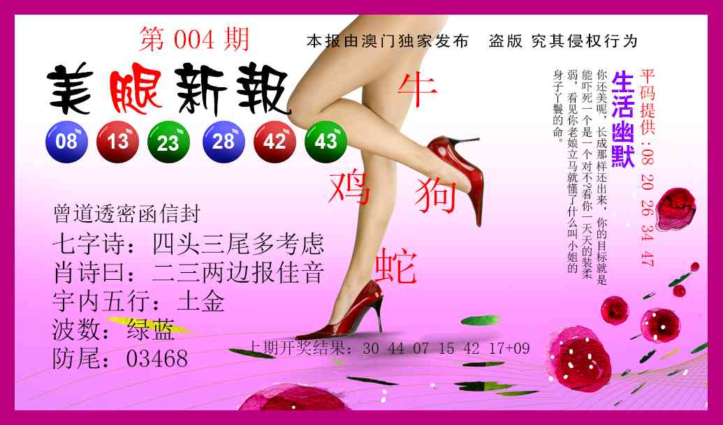 004期美腿新报[图]