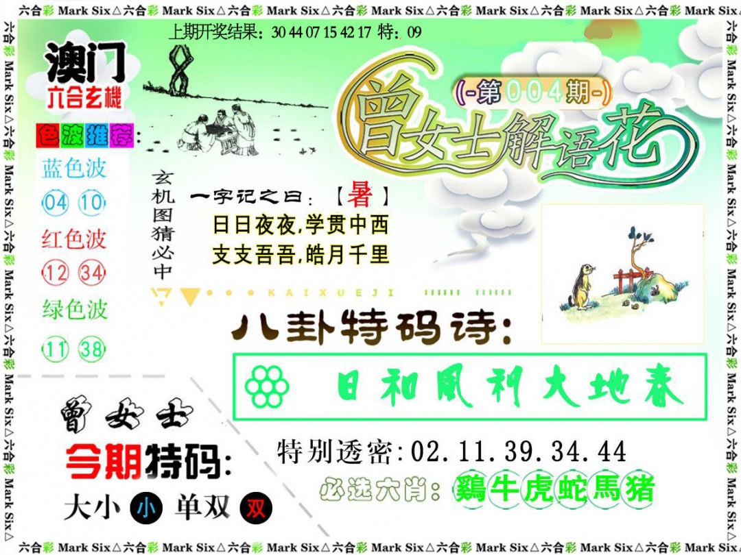 004期曾女士解语花[图]