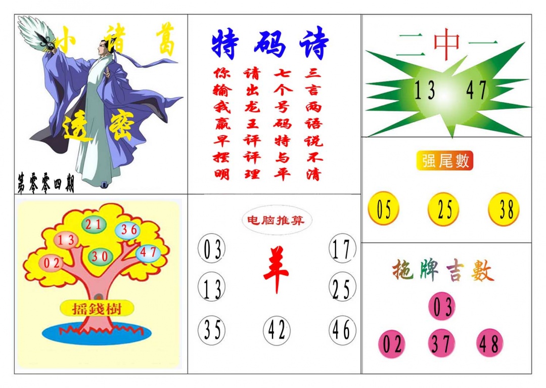 004期小诸葛[图]