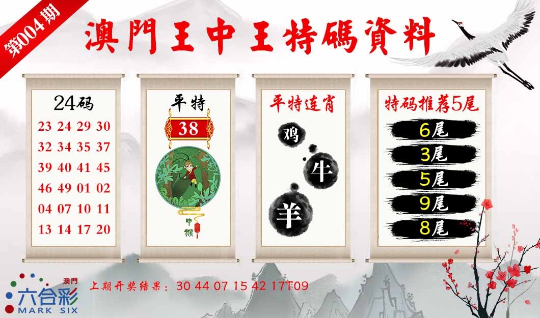 004期王中王特码料[图]