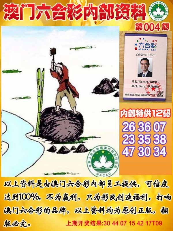 004期六合内部资料[图]