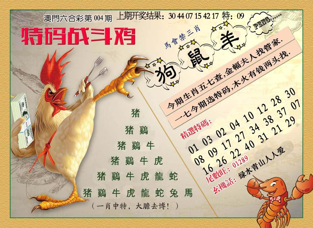 004期特码战斗机[图]