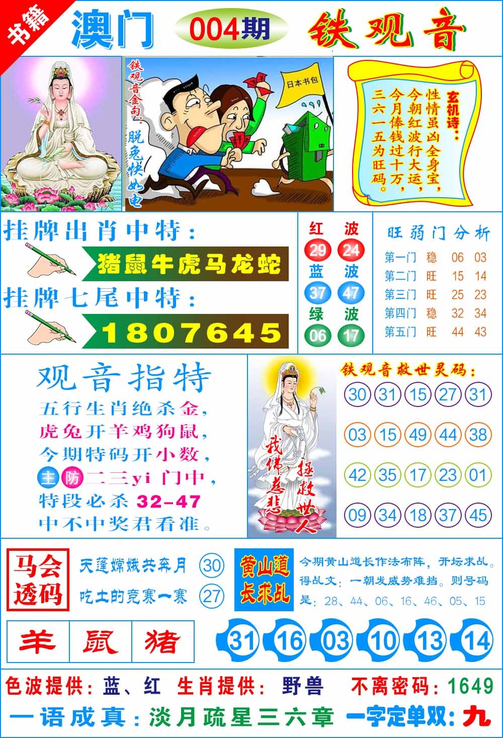 004期澳门铁观音[图]