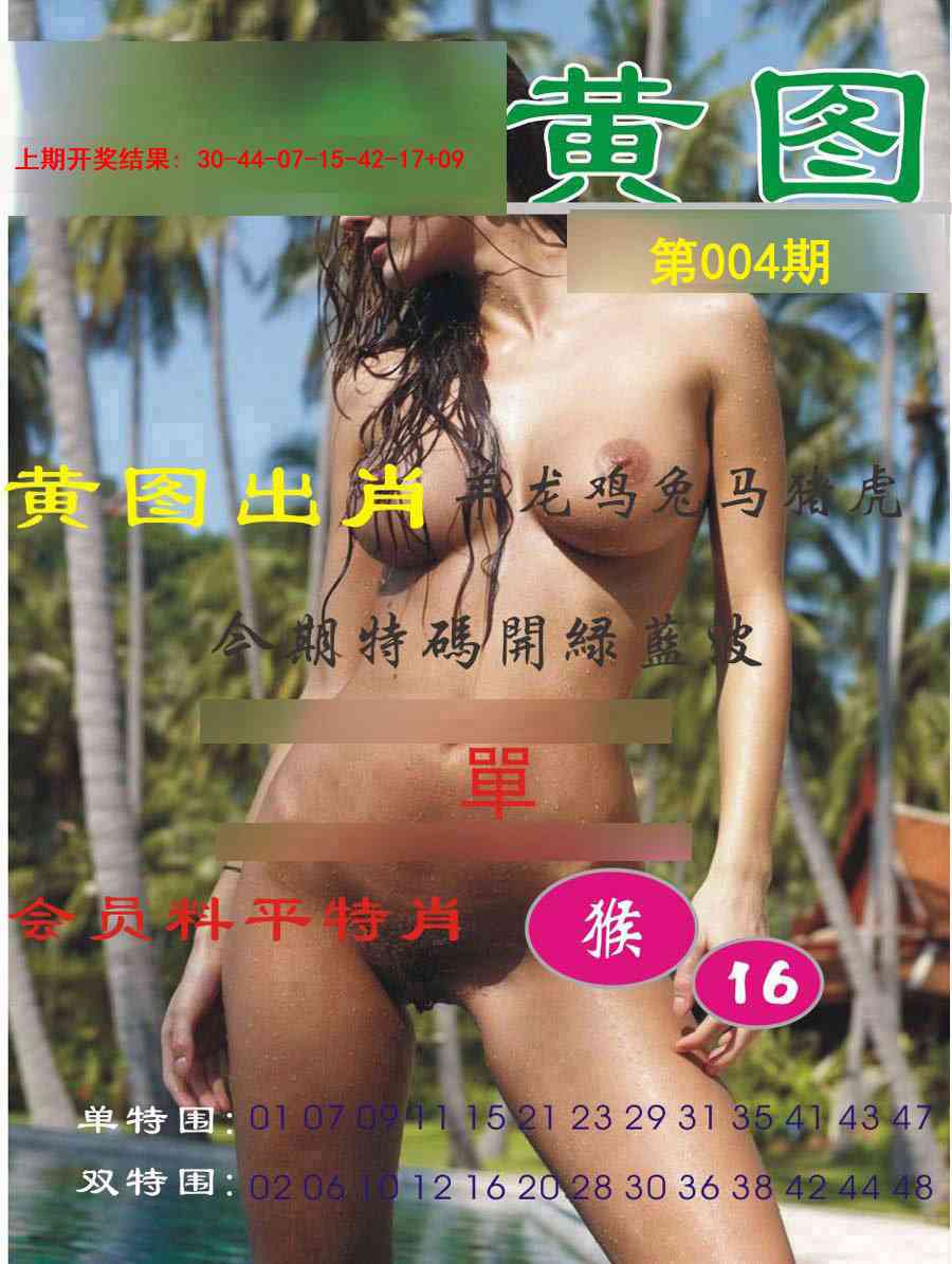 004期黄图[图]