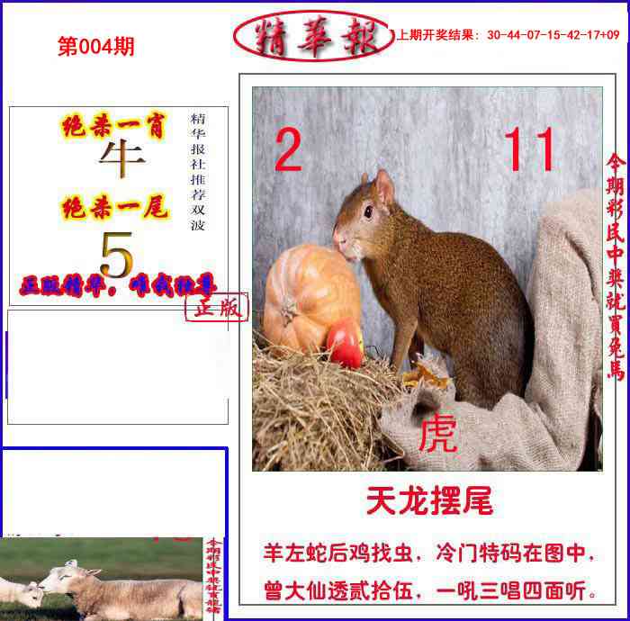 004期新精华报报[图]