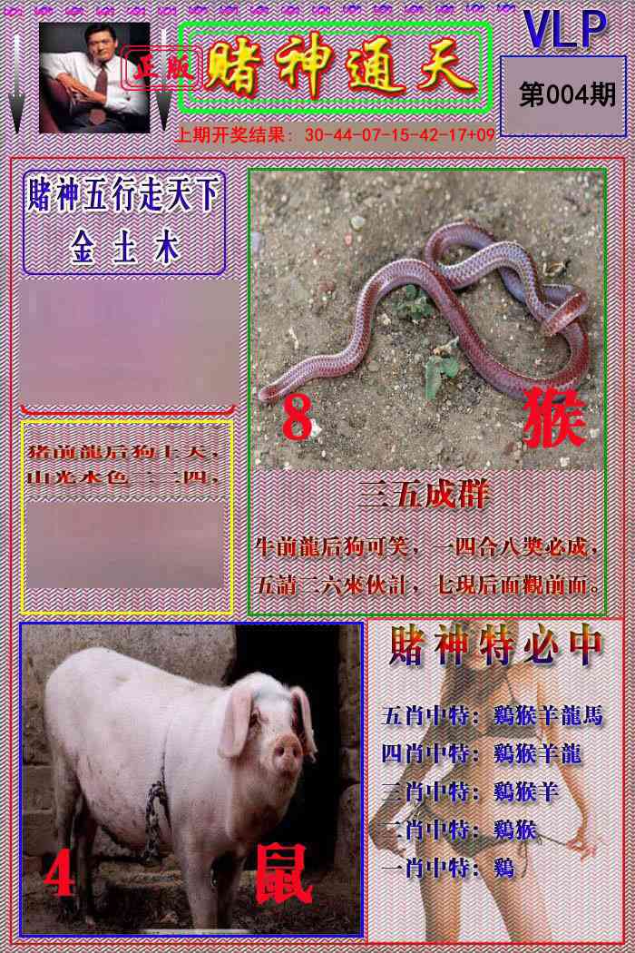 004期赌神通天报[图]