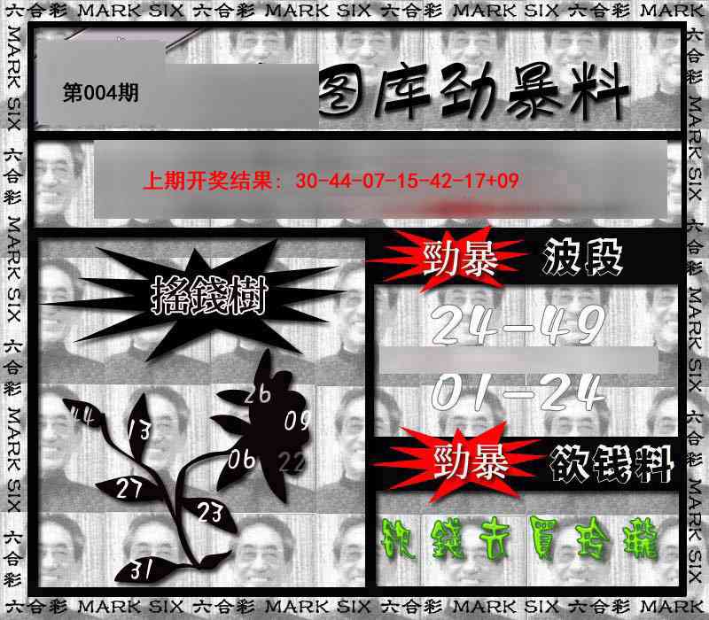 004期劲暴来料[图]