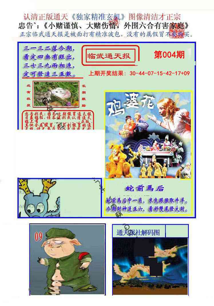 004期临武通天报[图]