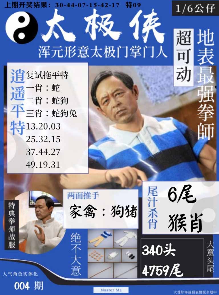 004期太极侠[图]